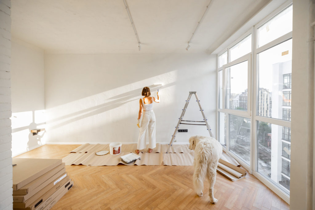 Woman with dog renovating house